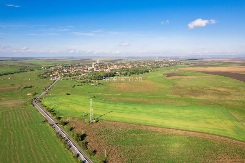 Teren de 104000 mp în Vinga - 7