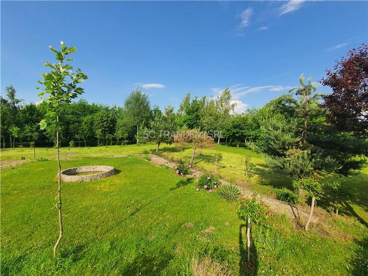 Teren intravilan Sacel -zona lacuri -ultimul lot de 900mp - 8