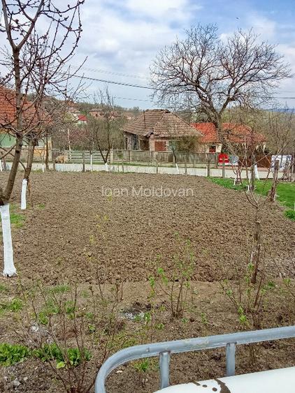 Proprietate de vânzare  - 8