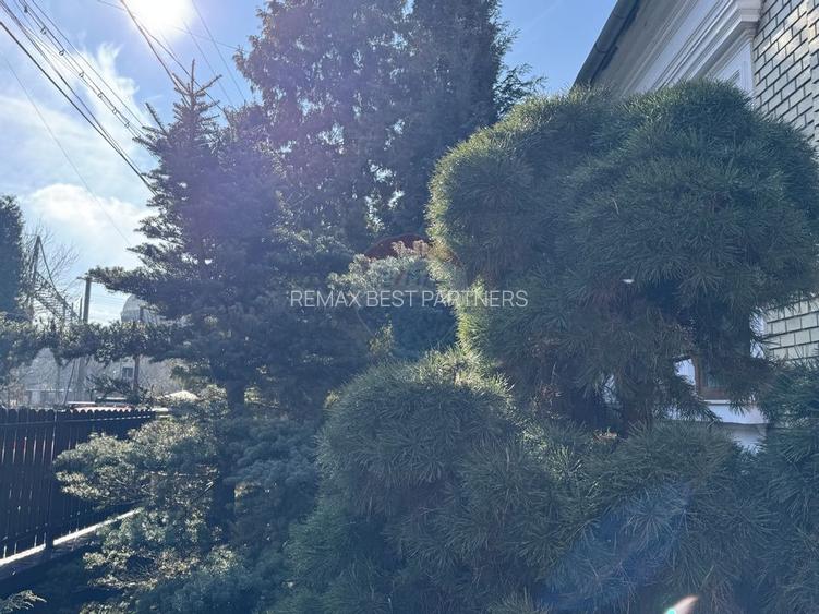 Casa de inchiriat, 3 camere, zona Grigorescu - 23