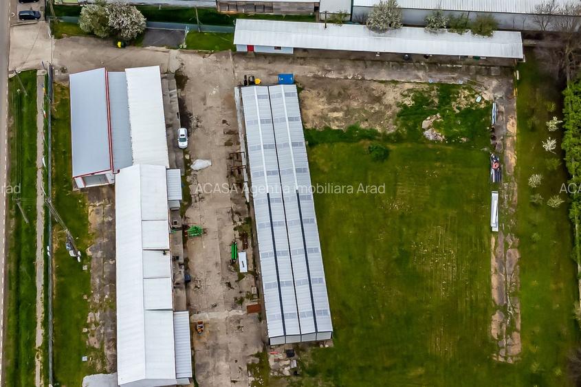 Hale depozitare/producție 2.000 mp si 10.000 mp teren în Pecica - 4