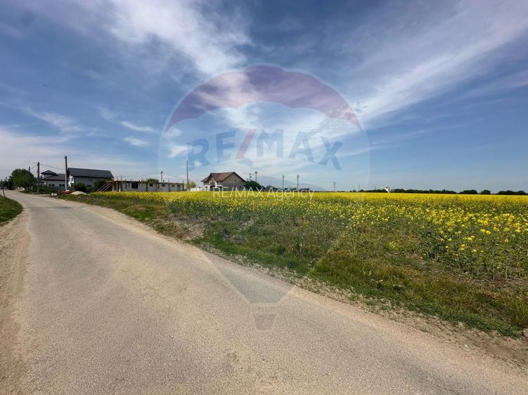 Teren 545,000mp Dragomiresti-Vale - 13