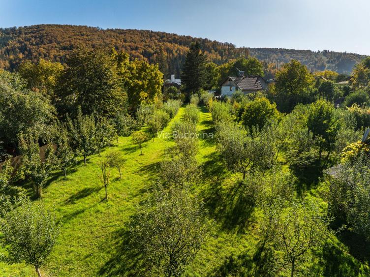 Vanzare teren investitie retail in Gura Humorului - Bld. Bucovinei - 6