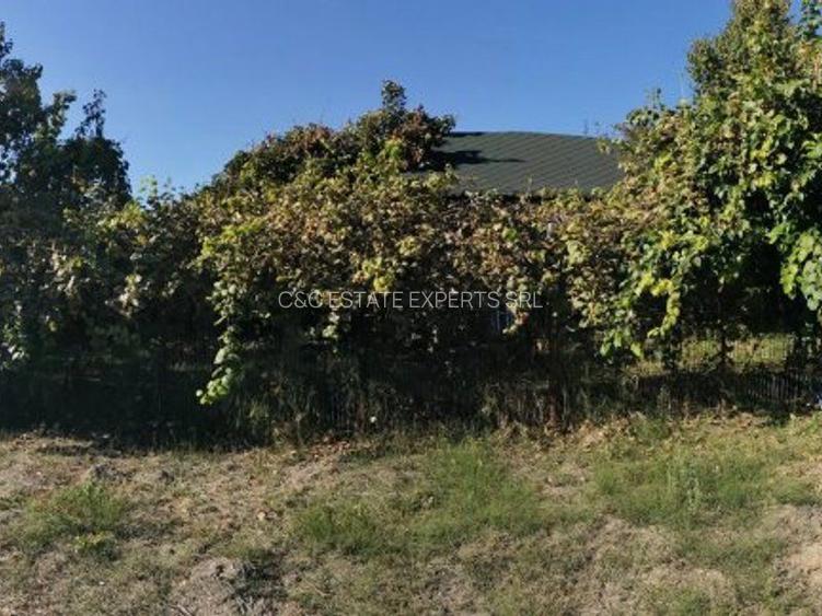 Teren de vanzare in zona Ostroveni - 5