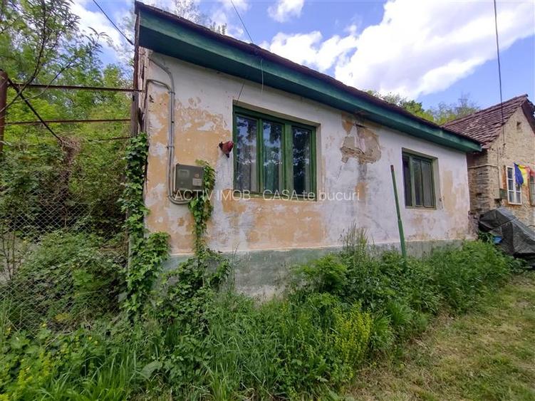 Sasca Montana | Oportunitate | Casa cu 230 MP Teren - 2