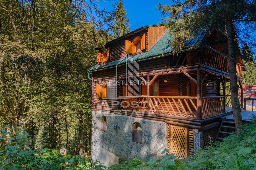 Pensiune, casa de vacanta, 6 camere, statiunea Rausor din Hunedoara - 21