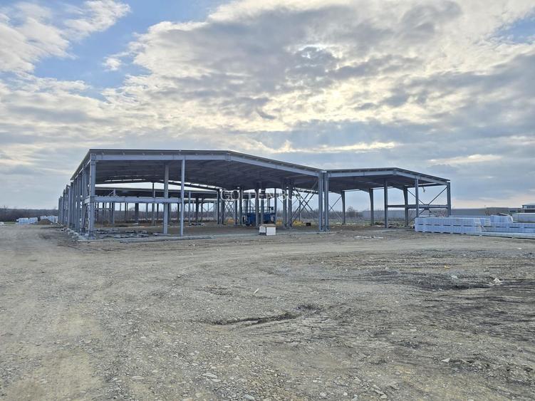Hale Industriale NOI DN2 Afumati|15 Unități | Acces TIR + Vizibilitate - 5