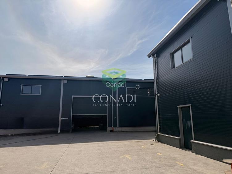 Hale premium cu Spatiu de birouri– zona Oxigenului – Cernica - 3