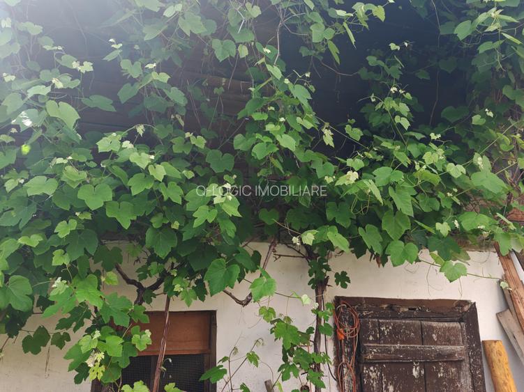 Casa 4 camere libera la vanzare RASNOV - zona Mihai Eminescu - 23
