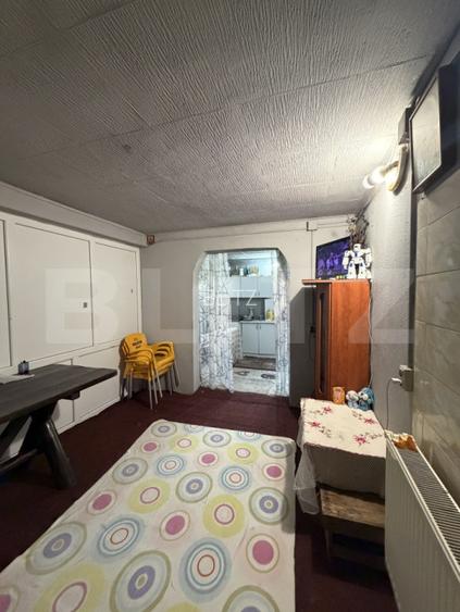 Teren intravilan agricol, sere, anexa agricola, 11500 mp teren, Sopot - 6