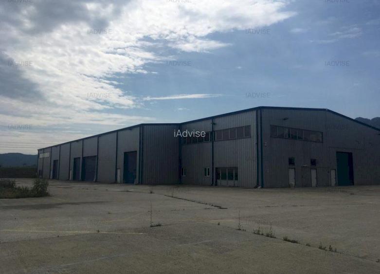 HALA NOUA PRODUCTIE/DEPOZITARE - 8