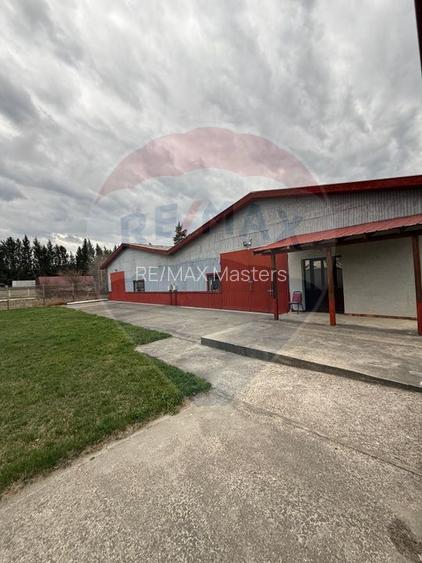 Hală industrială cu birouri si teren Gura Humorului - 15