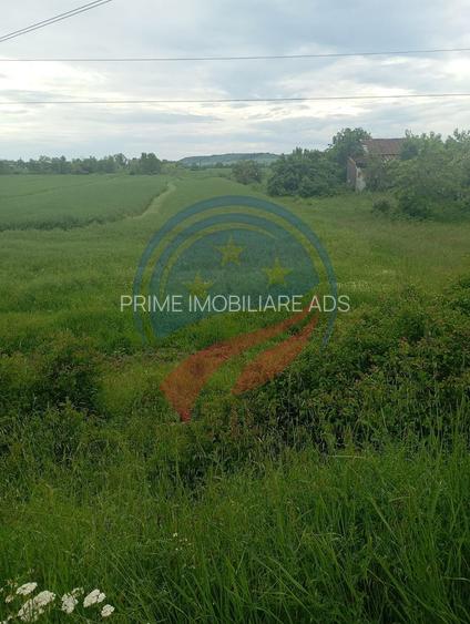 Teren 7140 mp de vanzare Murgasi - Oportunitate  investiție - 2