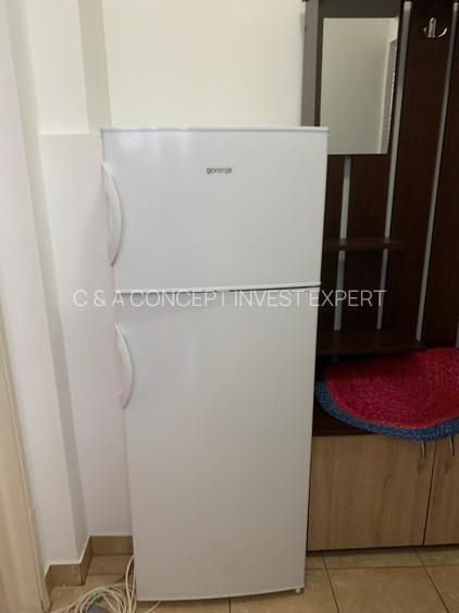 Pantelimon - Elev Stefanescu - 13