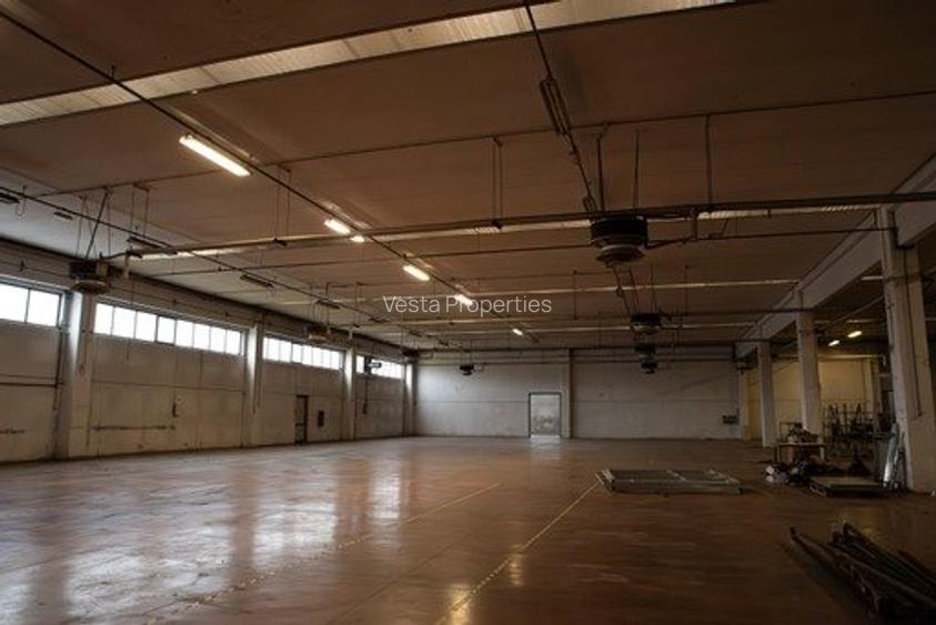 HALA ALBASTELELOR DE VANZARE/INCHIRIAT - 5