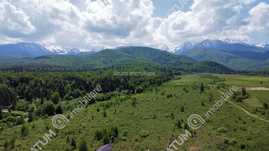 Teren Intravilan in Avrig zona Valea Avrigului 8900 metri - 4