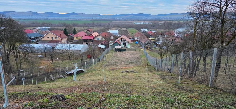 Proprietate deosebită în sat Chinari – Sântana de Mureș - 7