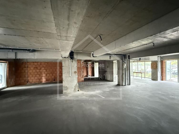 Spatiu Comecial 155 MP UTILI - 4