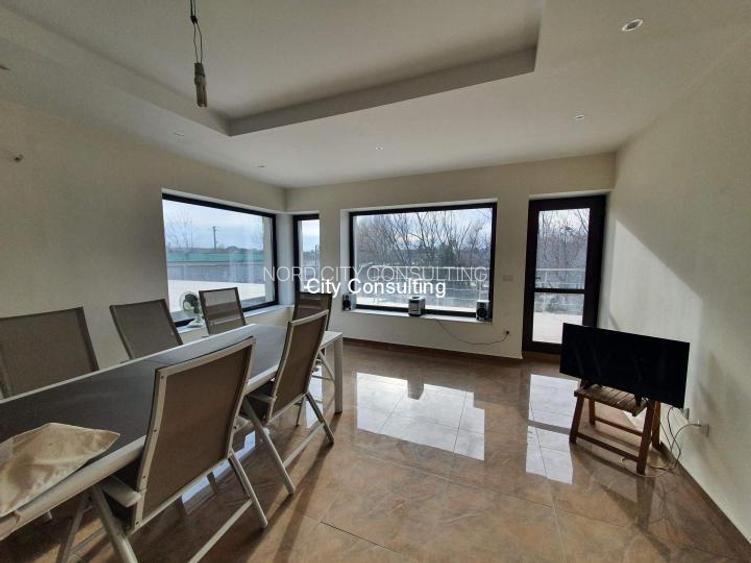 Vanzare vila Mogosoaia - Chitila Lac - 4