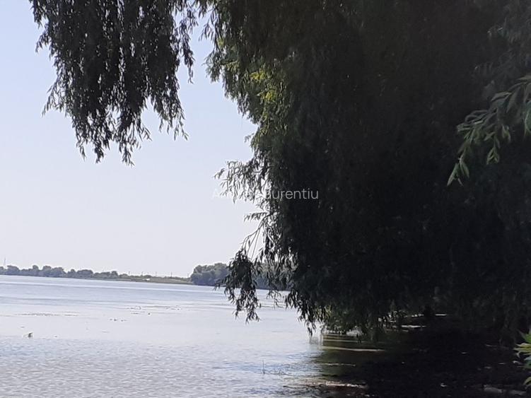 OCAZIE; teren MAHMUDIA 12euro/m.p. Suprafata 5000 m.p. Deschidere la Dunare 48m - 4