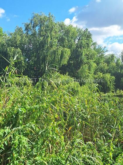 MEGA OCAZIE SE VINDE TEREN CU DESCHIDERE LA LACUL FUNDENI - 15