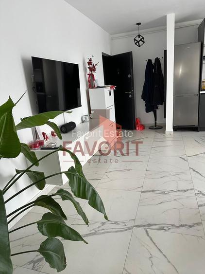 Braytim. Mobilat si utilat. Strada asfaltata - 9