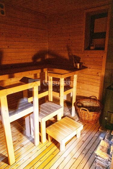 Proprietate unica, independenta energetic, zona Bucium - 19