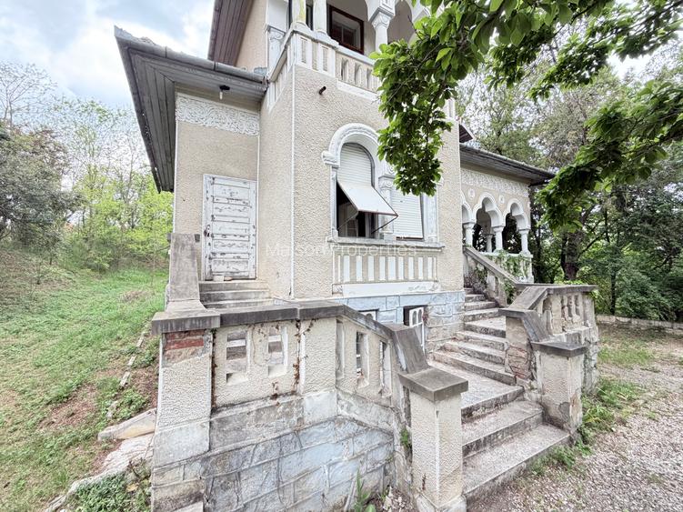 COMISION 0% | Casa cu istorie si teren 10.000 mp - 4