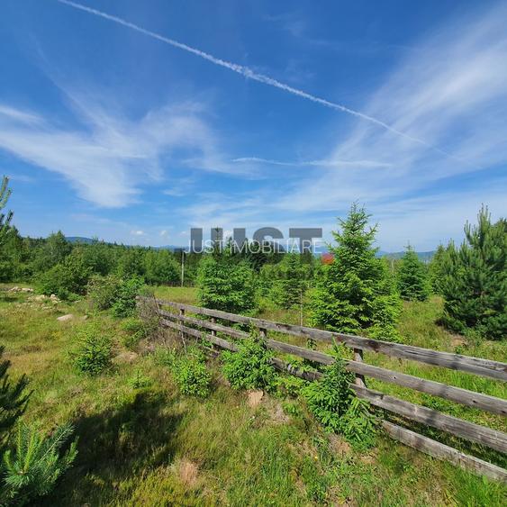 Când oboseala nu mai trece cu un city break, ai nevoie de un teren la munte - 3