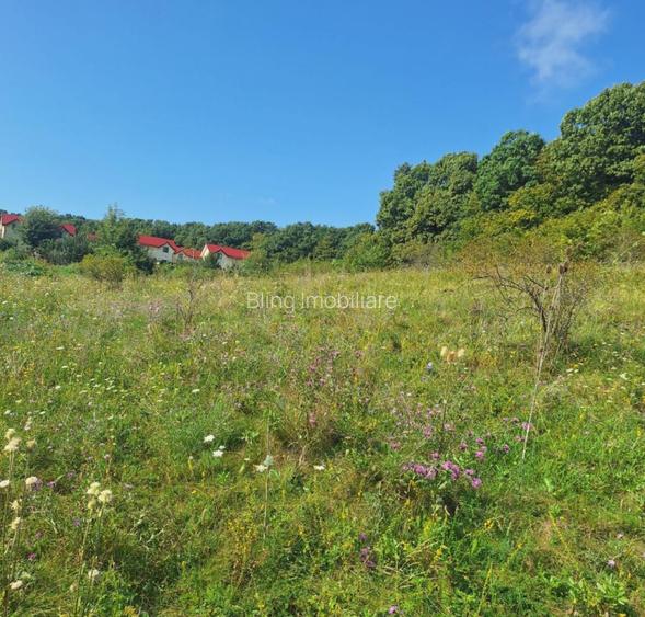 Teren in Chinteni langa padure 1425mp front 70ml - 3