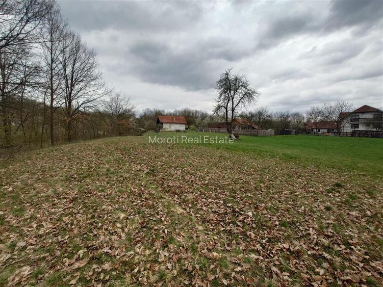 10 000 mp teren intravilan cu priveliste - 14