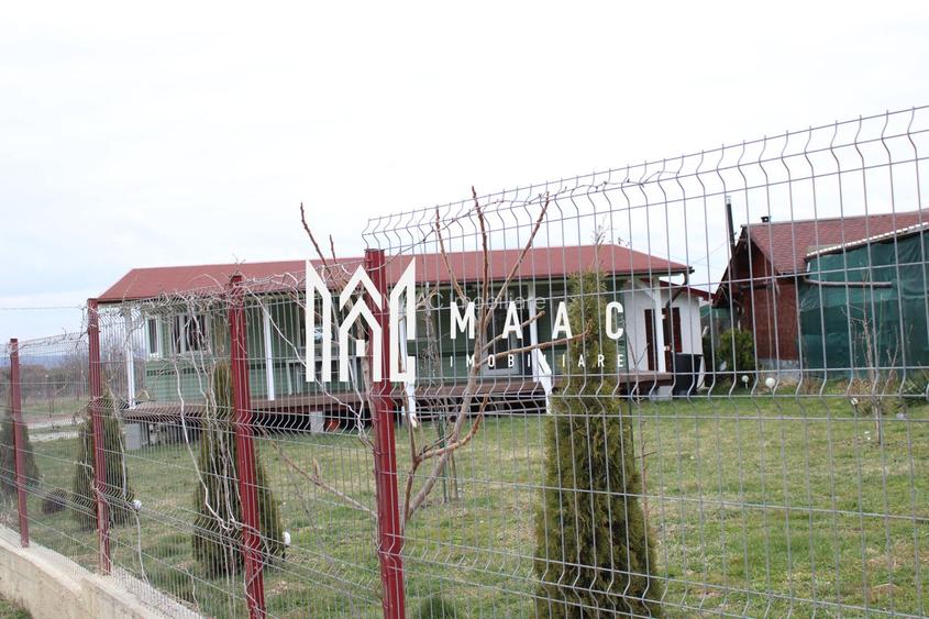 Pământ I Fereastră către Eternitate în  Transilvania - 11