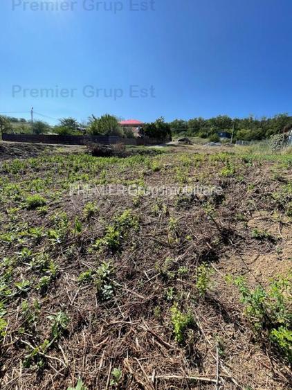 Ultimul LOT! Teren intravilan 477mp | Aroneanu - 6