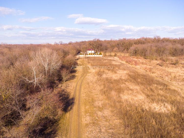 Teren intravilan Măgurele langa padurea Cornetu si Arges - 5