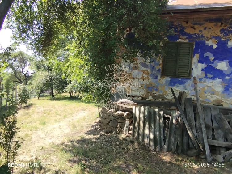 Teren intravilan 2828 mp+autorizatie casa-anexe-livada-Dorolea - 7