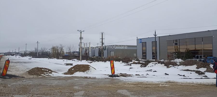 Vanzare teren intravilan 7500 mp/23ml Centura Magurele Ilfov - 8