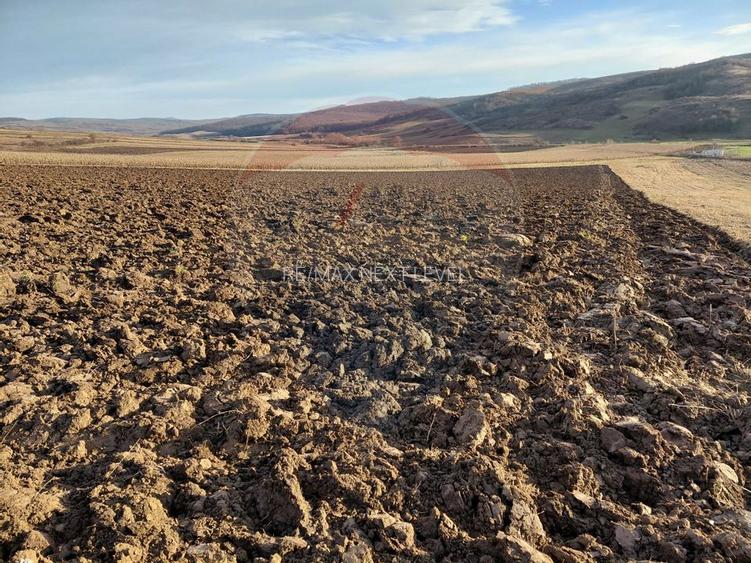 Teren 7,200mp Secuieni / DN Principala - 4