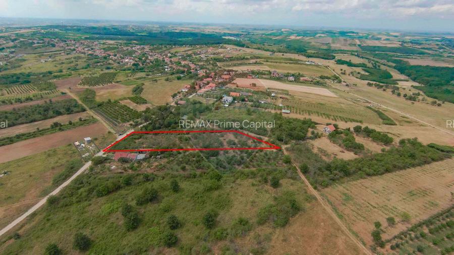 De vânzare Teren 3995mp intravilan Săldabagiu de Munte - 3