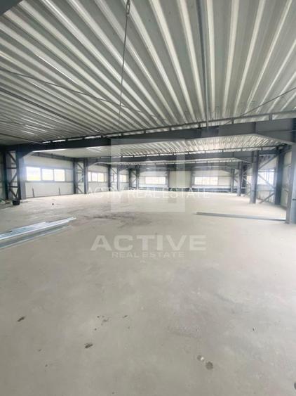 Hala cu curte proprie -zona napolact - 7