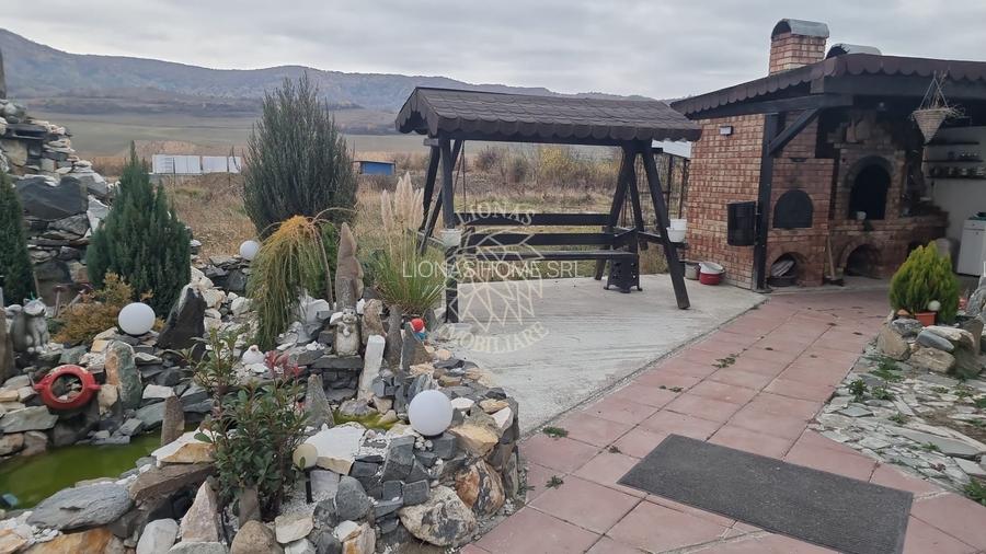 Casa de Lux 6 camere-480mp-teren 1100mp-service tinichigerie-Arcalia - 6