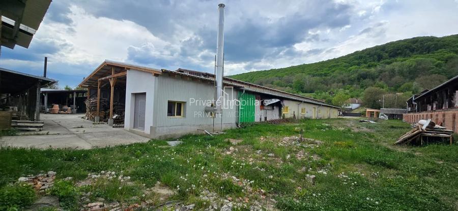 Teren + hale industriale 8785mp + casă–Oportunitate investiție / producție – - 27