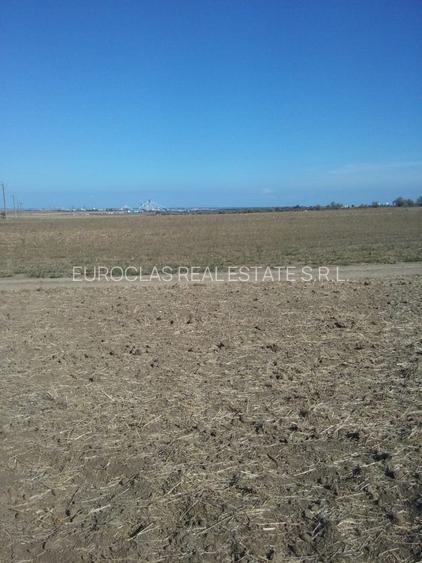 Exclusiv! Teren extravilan 10.000 mp - Cumpana - Malul canalului (Cod E3) - 6