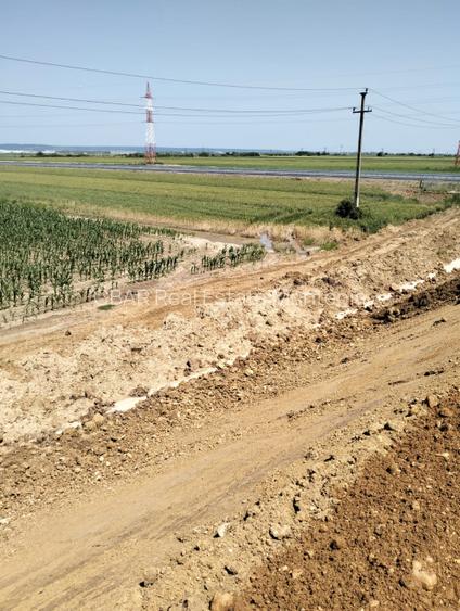 Teren Oarja de 8 400 mp, langa Pasarela A1, 5,5 euro/mp la Pretul 46 200 Euro. - 4