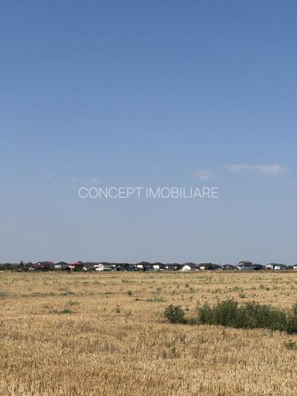 Teren 10.000 mp - Dragomiresti Vale, Ilfov - 5