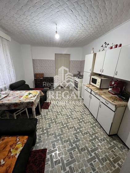 Două case individuale de vânzare în Teliuc –ideale pentru două familii - 13