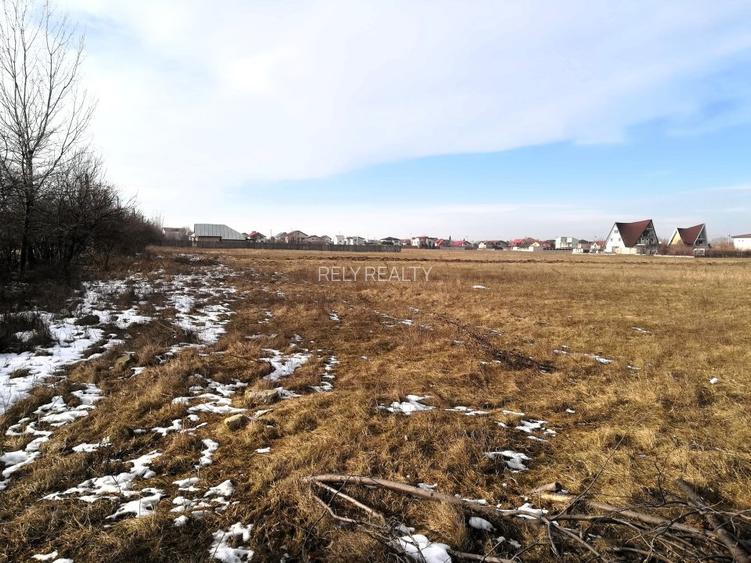 Vanzare teren intravilan Magurele / 2.500 mp / D: 17.55 m - 5