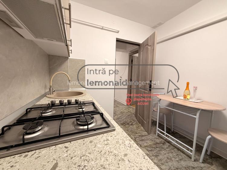 Apartament 2 camere - complet renovat – Strada Timiș 4 - parter - 12