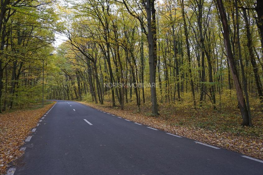 Teren intravilan | Snagov | Izvorani | 2800mp | Stradal - 5