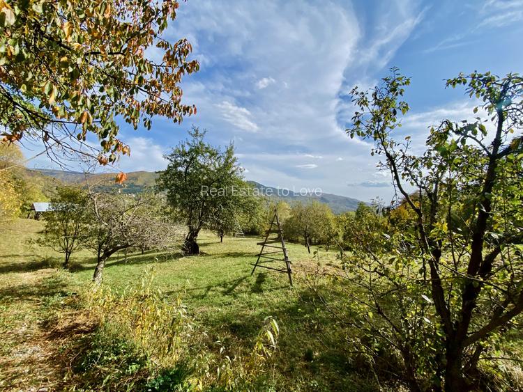 Teren panoramic retras, cu panta lina, utilități si livada - 2