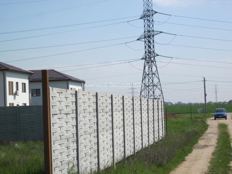 Domnesti-Crengutei - 14